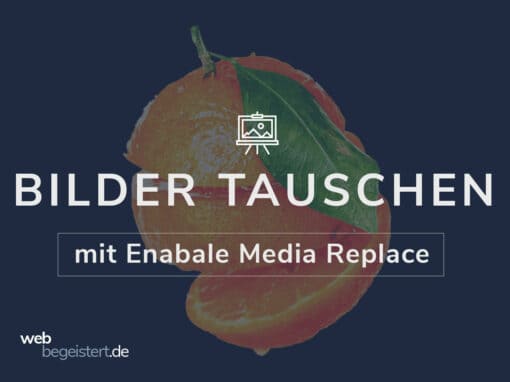 WordPress Plugin Enable Media Replace – Bilder austauschen