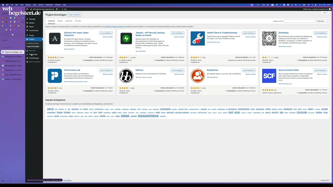Server-Übersicht in WordPress