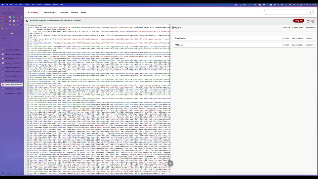 Schema Validator Ergebnis für Blogartikel und FAQ-Schema