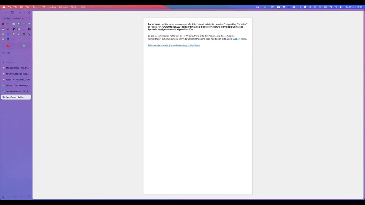Gut lesbare WordPress-Fehlermeldung im Browserfenster
